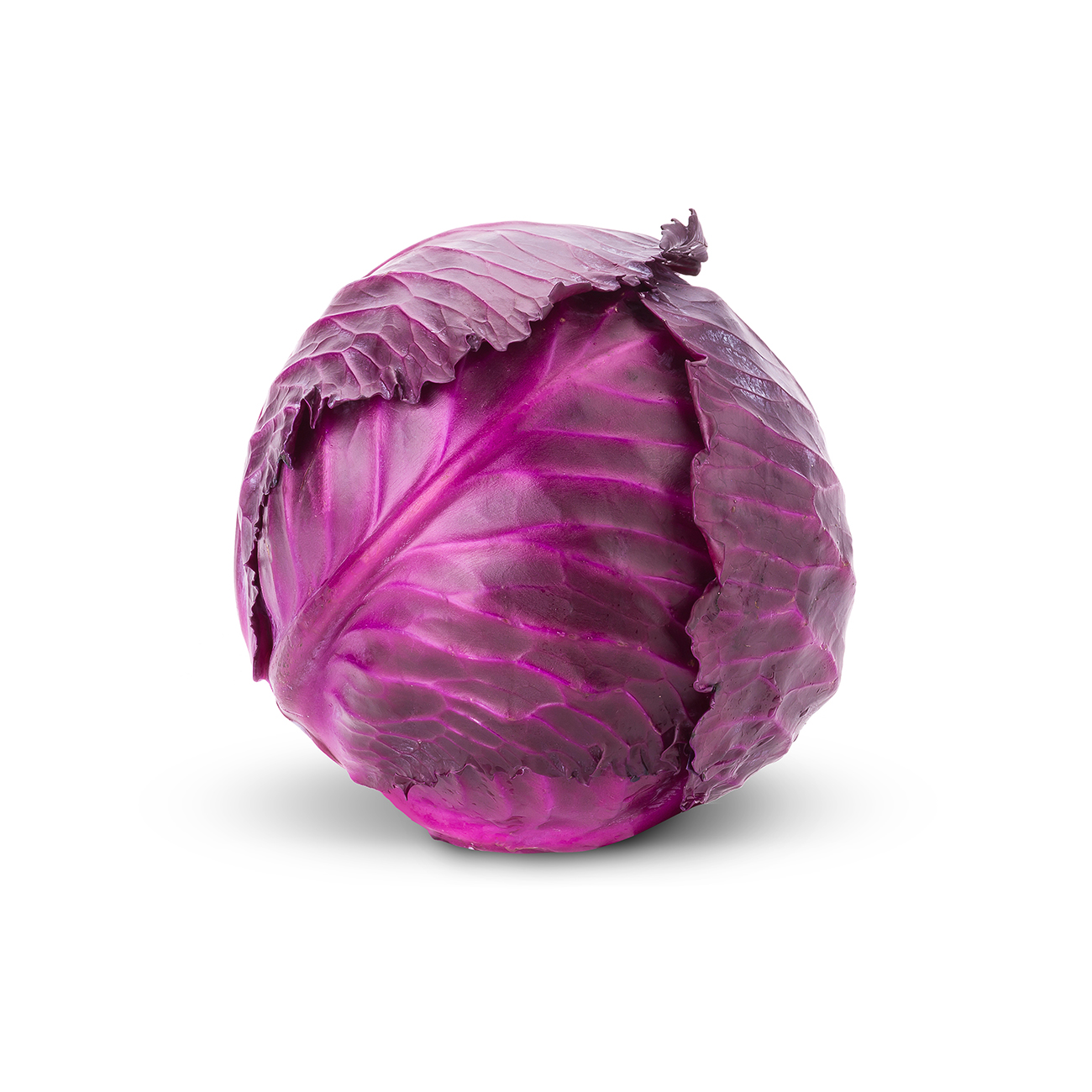 cabbage,-red.jpg